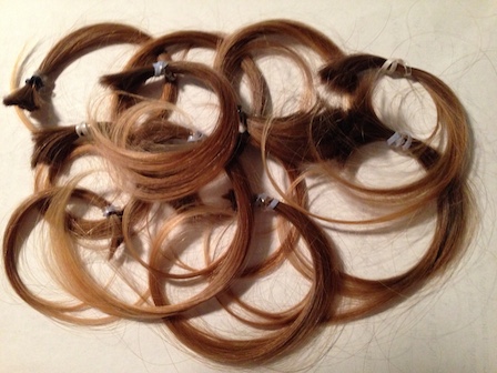 The shorn hair moments after cutting